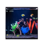 HelloReef GloFish Aquarium Kit