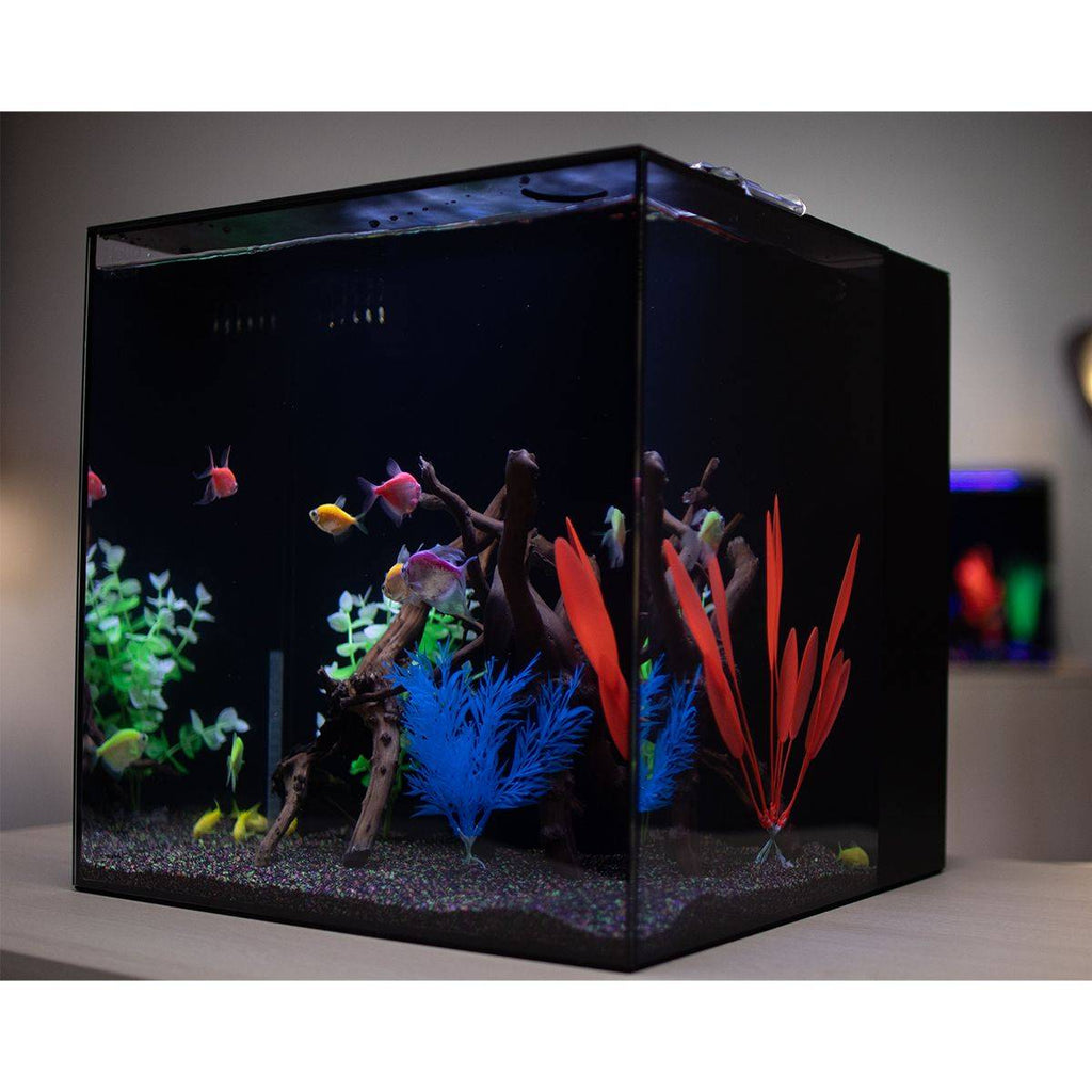 HelloReef GloFish Aquarium Kit