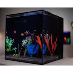 HelloReef GloFish Aquarium Kit
