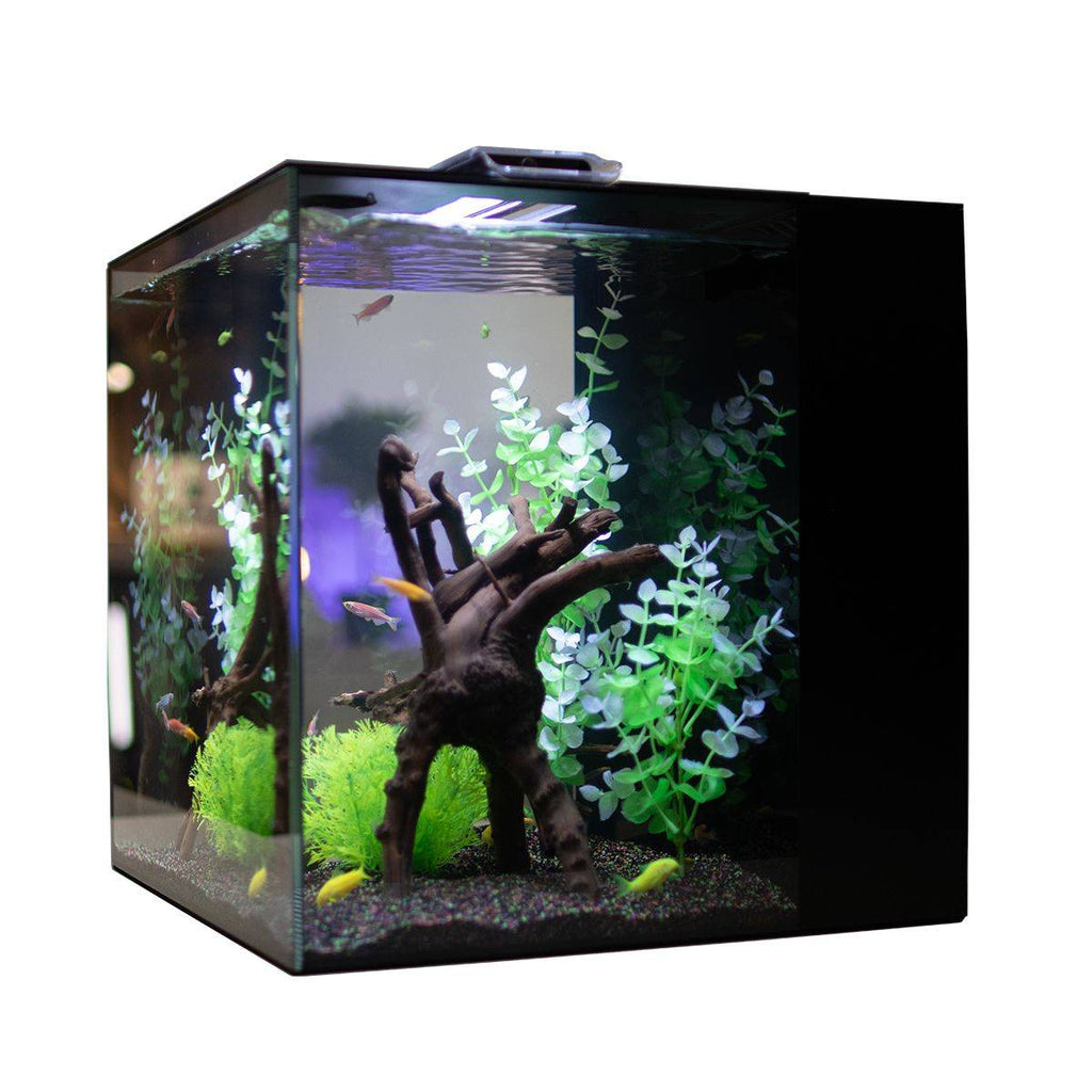 HelloReef GloFish Aquarium Kit