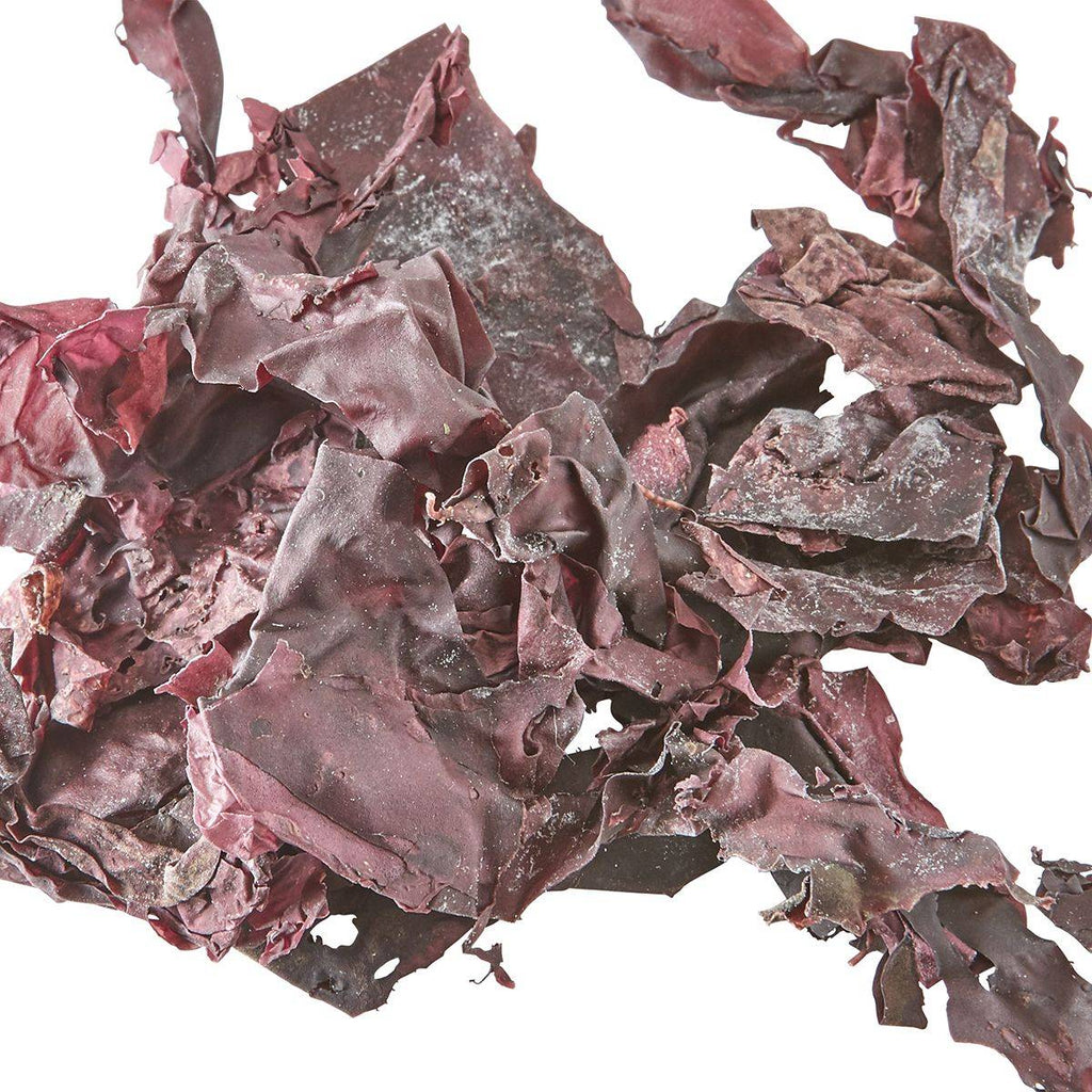 20g Dulse Seaweed