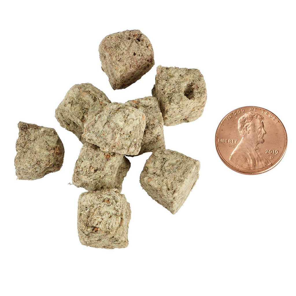 Brine Shrimp - Freeze Dried