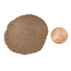 Premium Brine Shrimp Eggs