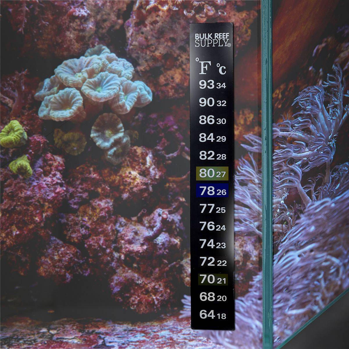 BRS Stick-On Thermometer