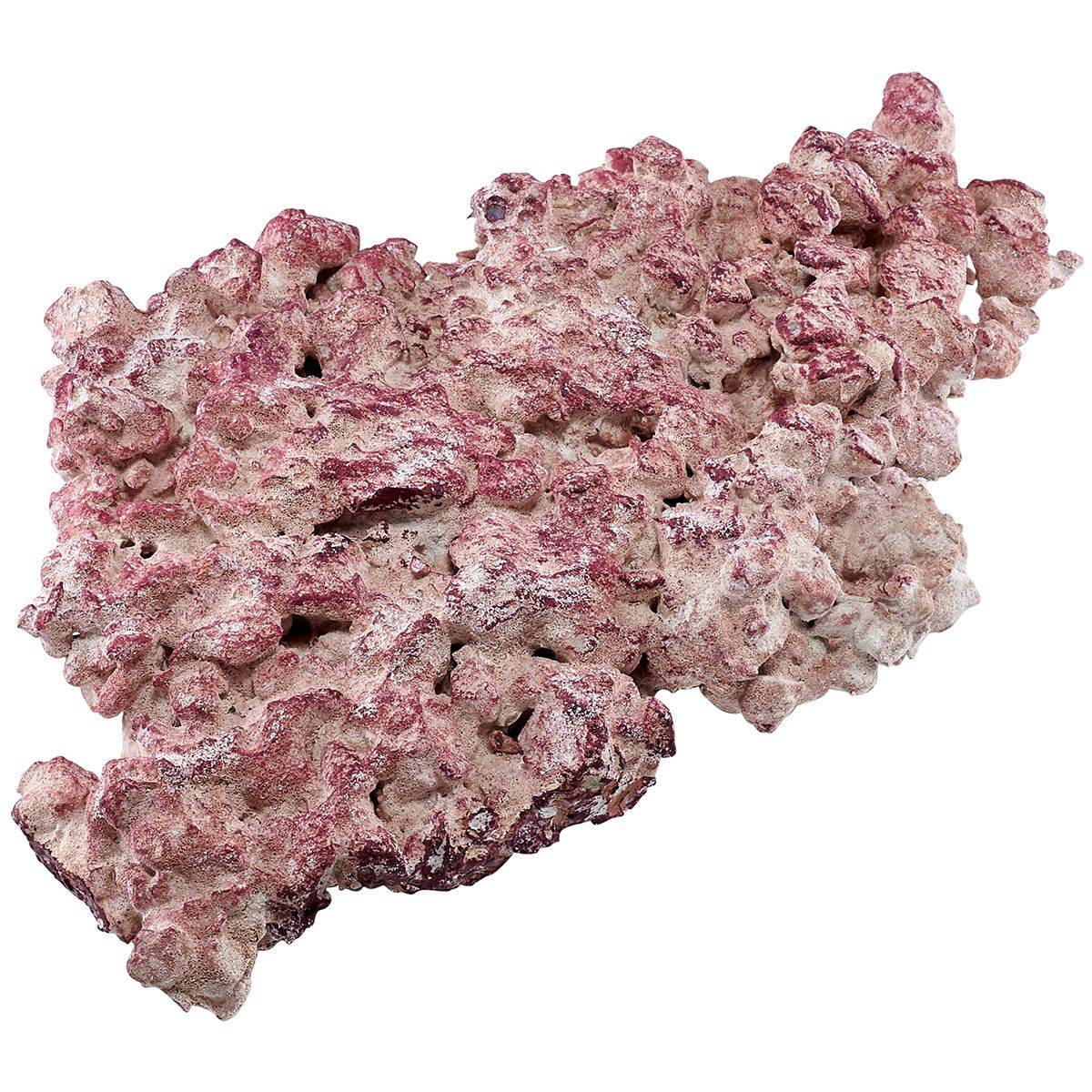 AF Rock Shelf (22 lbs / 10kg)