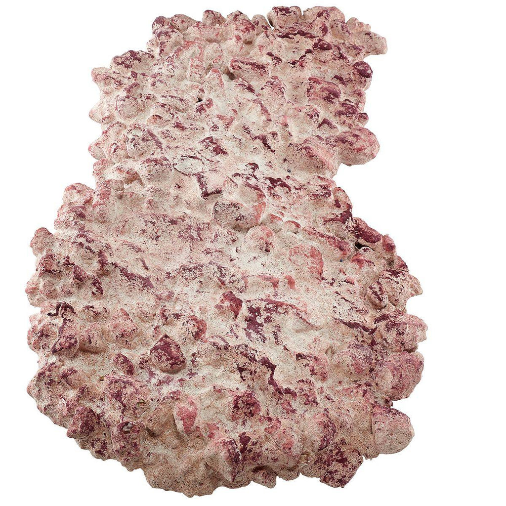 AF Rock Shelf (40 lbs / 18kg)