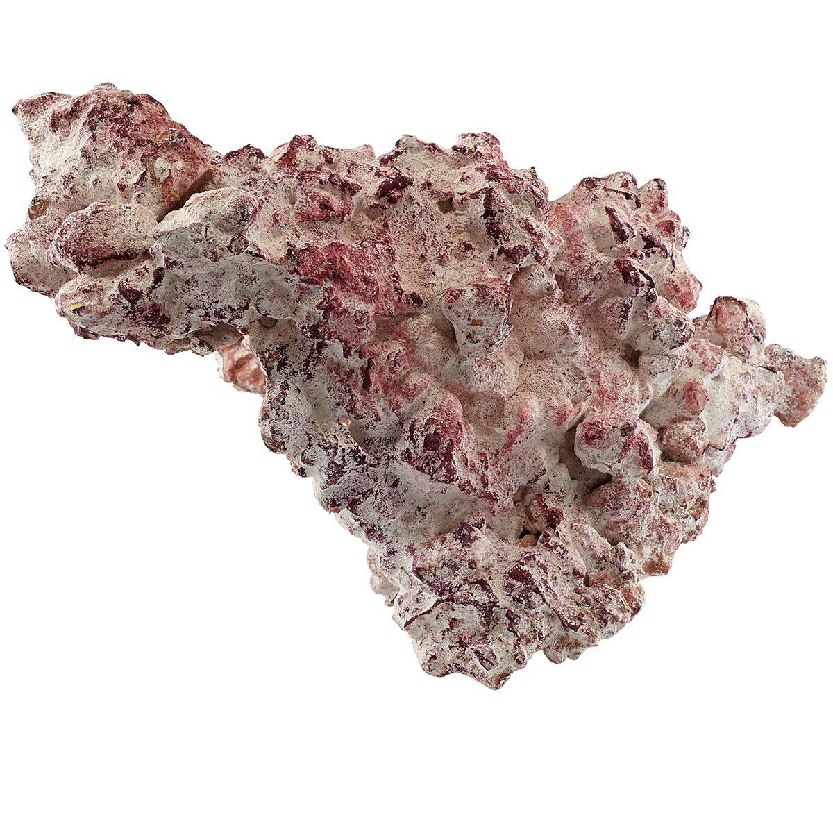 AF Rock Arch (22 lbs / 10kg)
