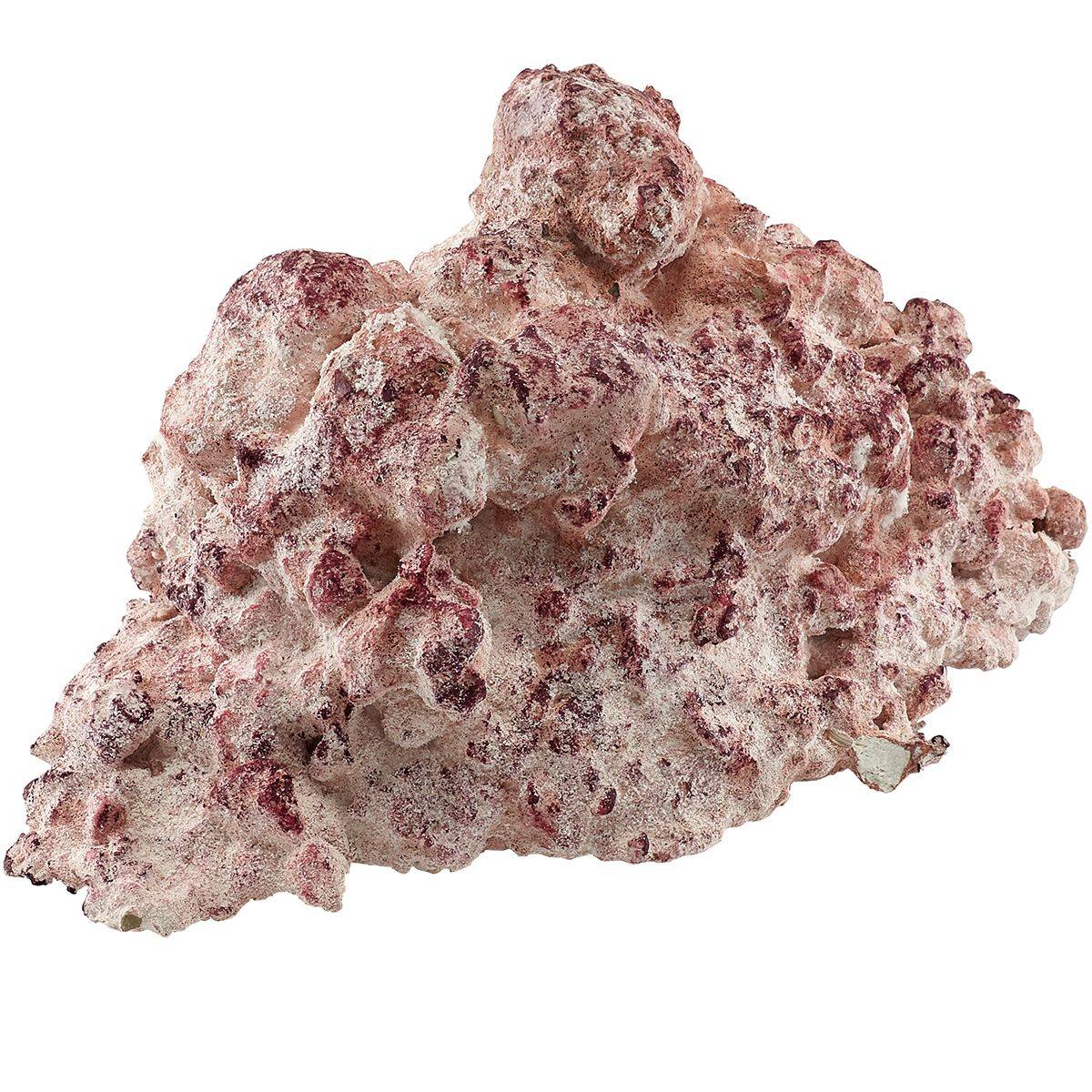AF Rock Arch (22 lbs / 10kg)