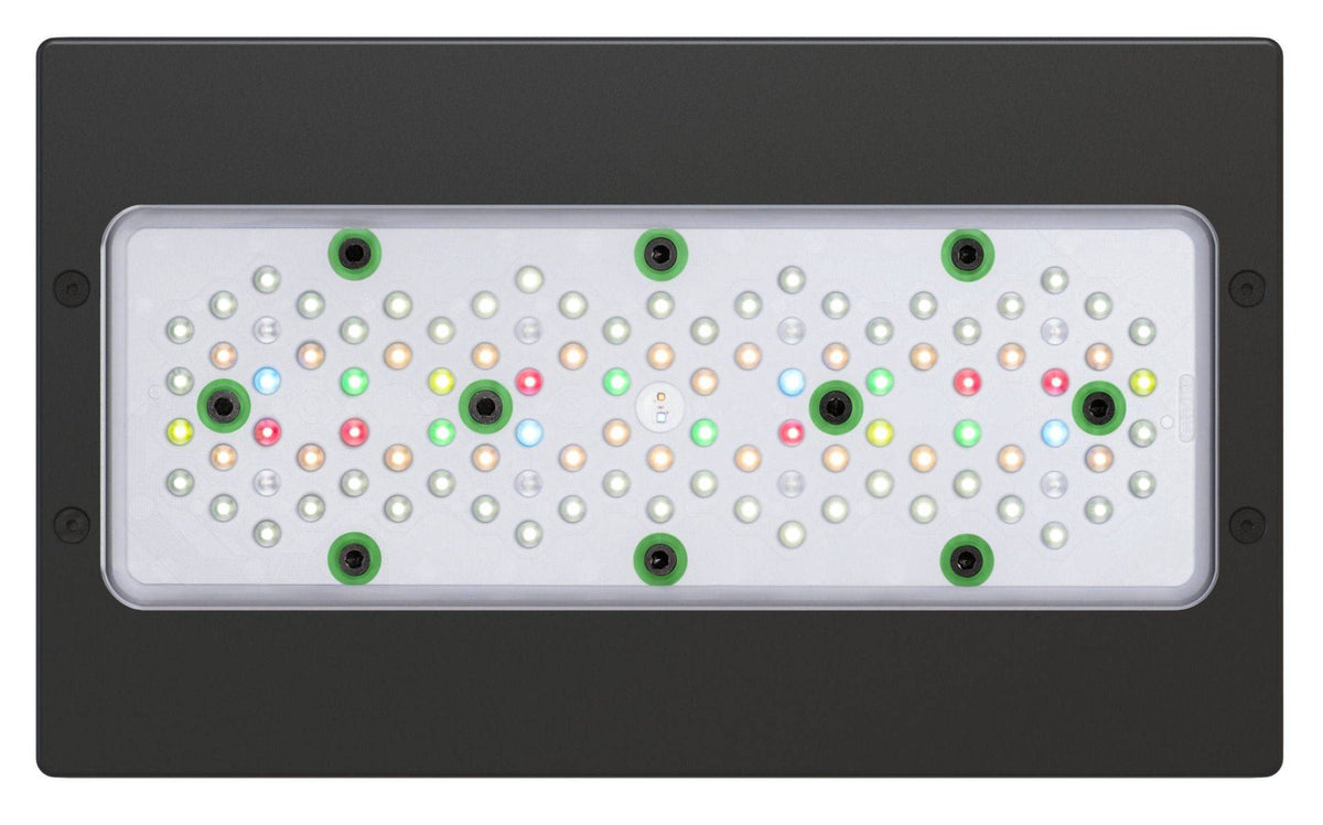 Radion XR30 G5 Freshwater LED Light Fixture - AU Cable
