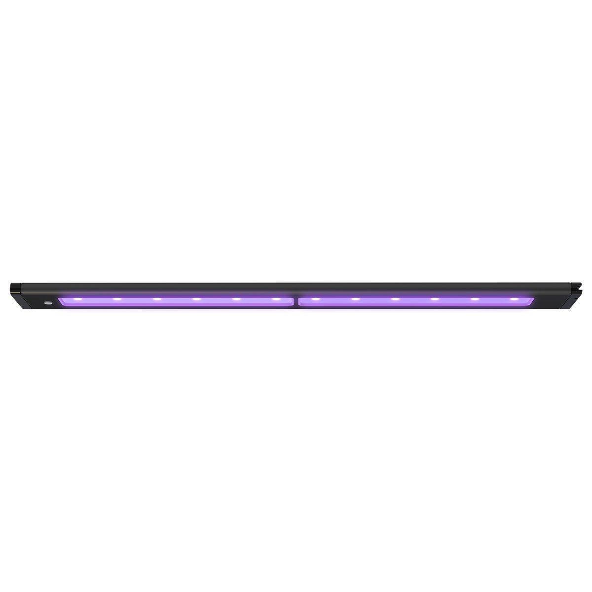 Blade Smart LED Strip - Coral Glow (21 inch) - EU Cable