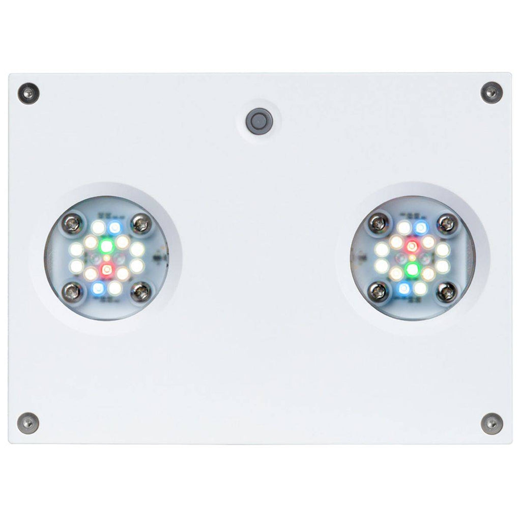 Hydra 32 HD LED Freshwater Light - White Body - EU Cable