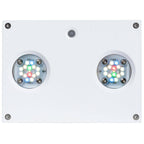 Hydra 32 HD LED Freshwater Light - White Body - EU Cable