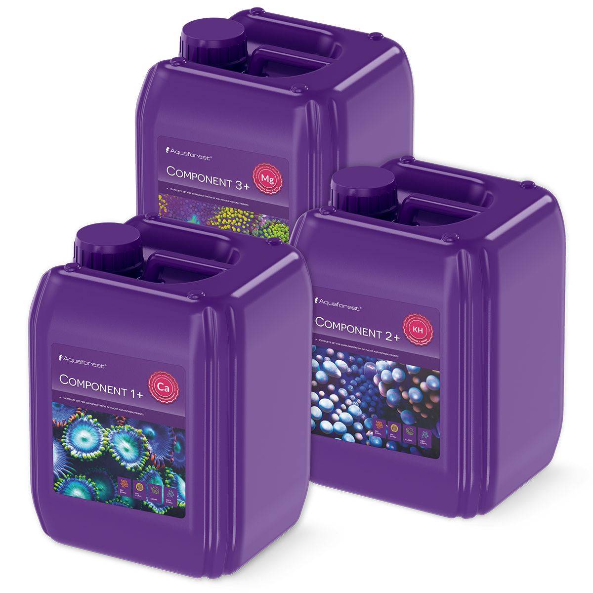 Component 1+, 2+, 3+ Bundle