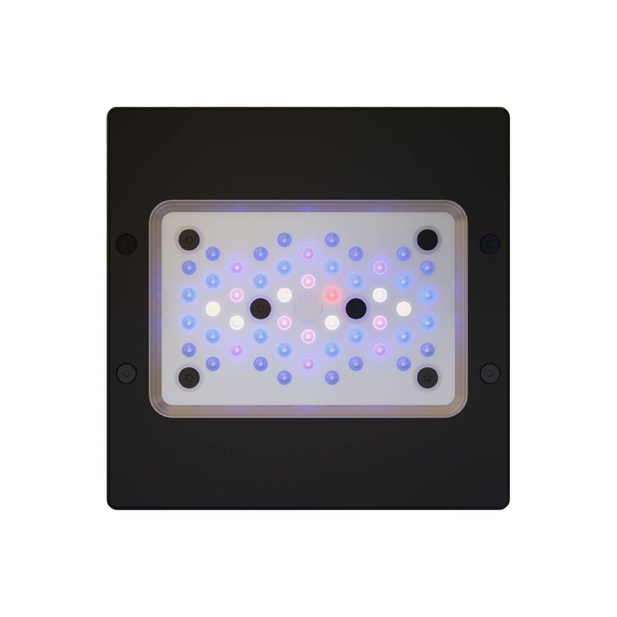 Radion XR15 G6 Blue LED Light Fixture
