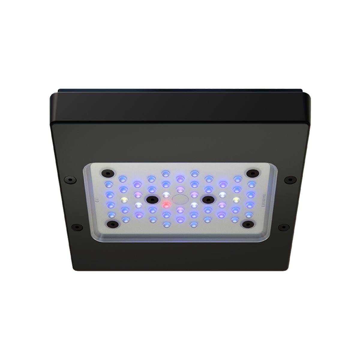 Radion XR15 G6 Blue LED Light Fixture