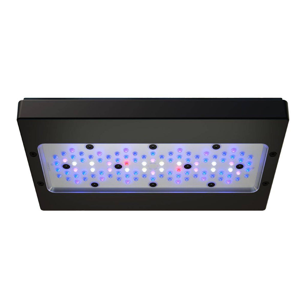Radion XR30 G6 Blue LED Light Fixture - EU Cable