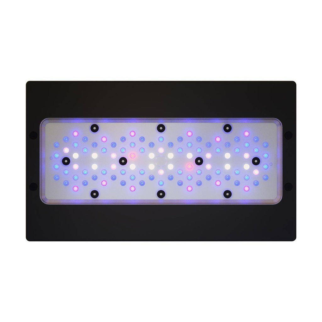 Radion XR30 G6 Blue LED Light Fixture - EU Cable