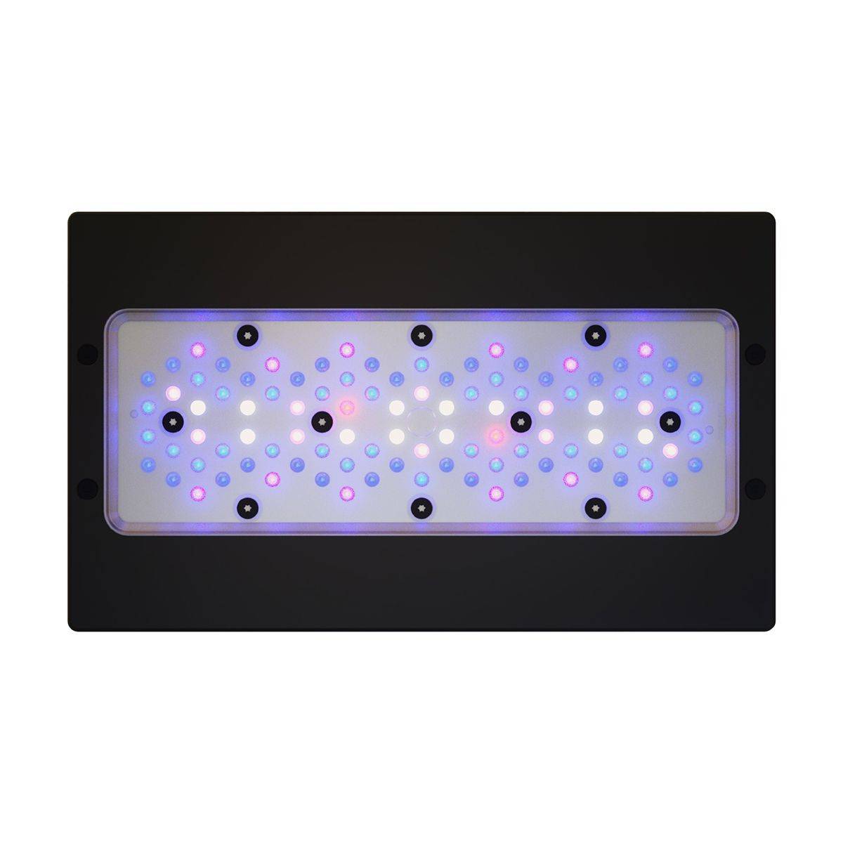 Radion XR30 G6 Blue LED Light Fixture - UK Cable