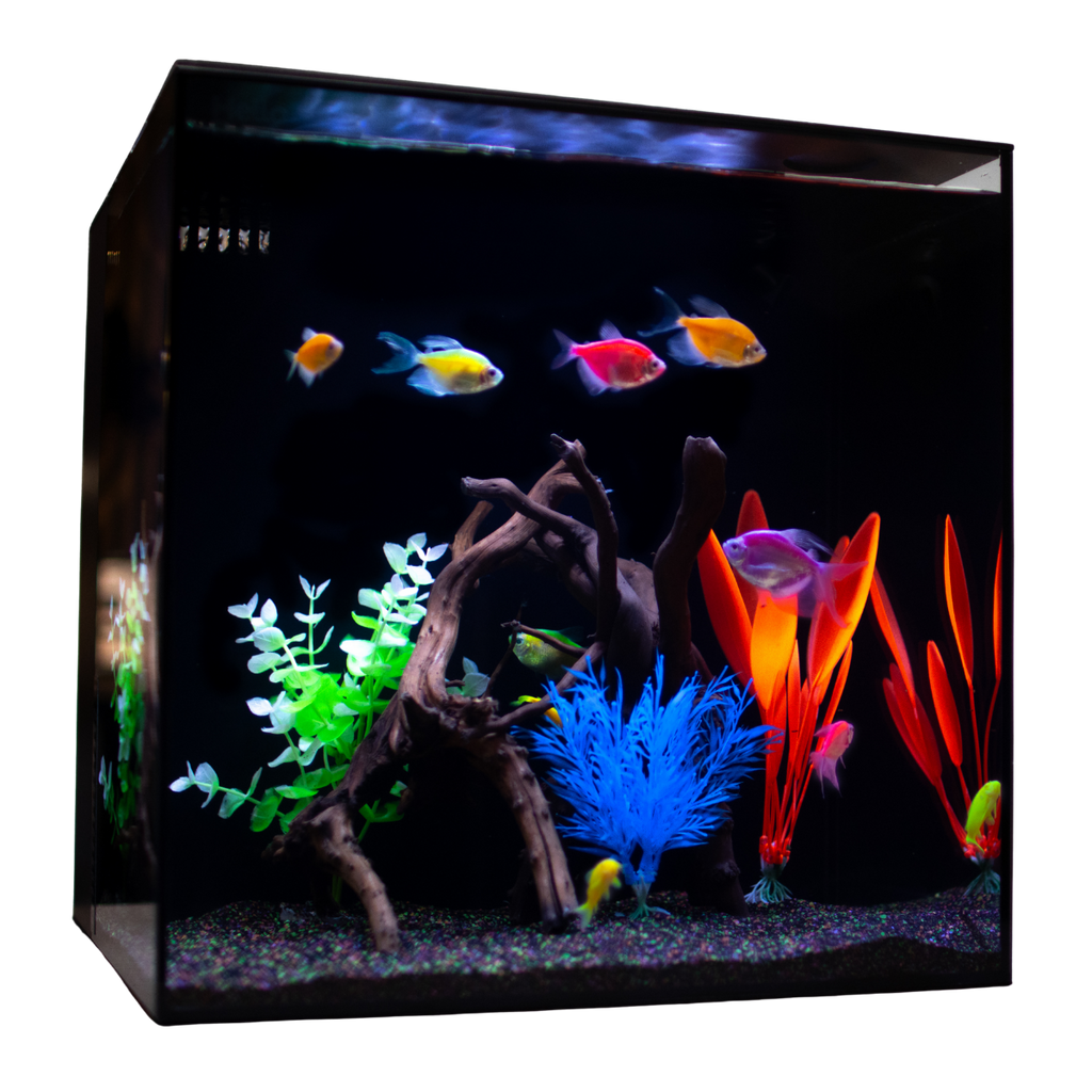 HelloReef GloFish Aquarium Kit