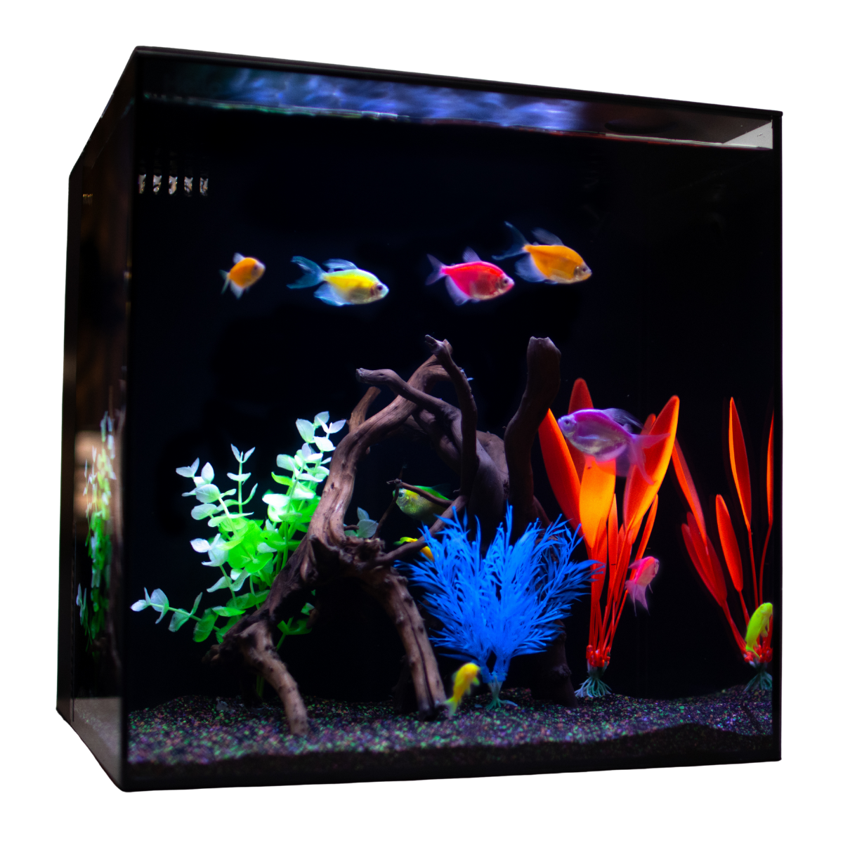 HelloReef GloFish Aquarium Kit