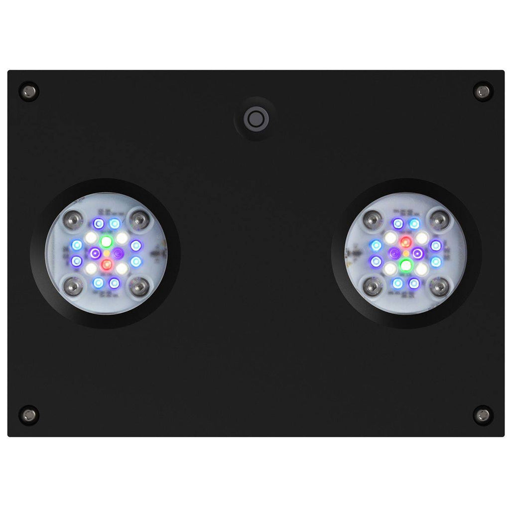 Hydra 32 HD LED Reef Light - Black Body