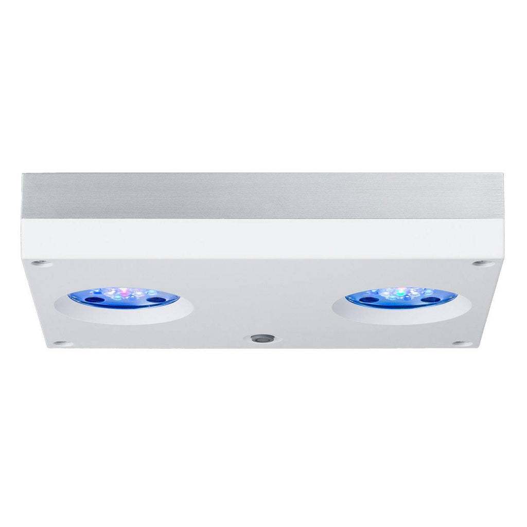Hydra 32 HD LED Reef Light - White Body - AU Cable