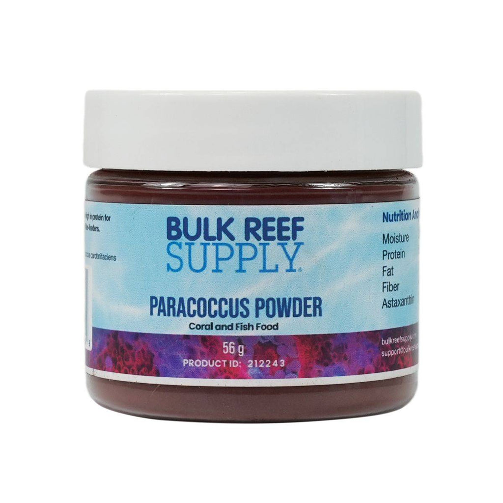Paracoccus Powder