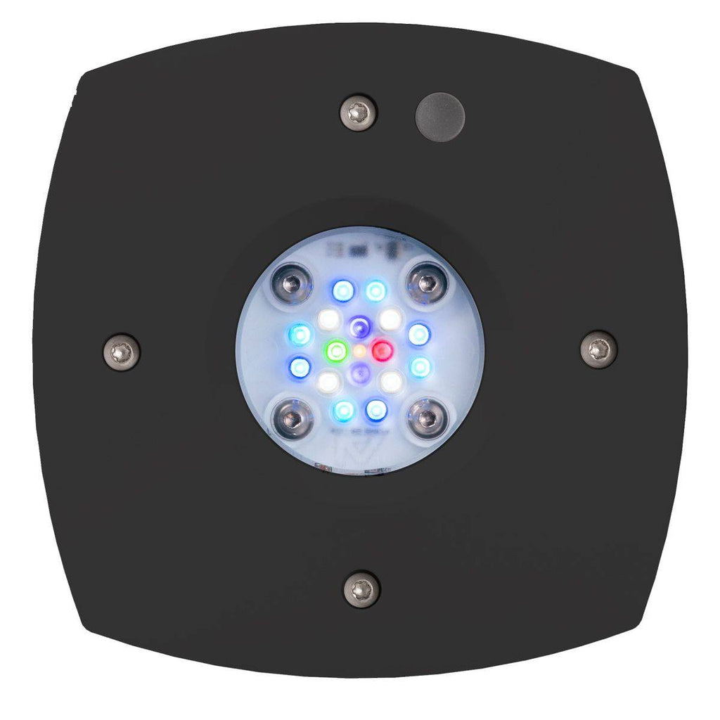 Prime 16 HD LED Reef Light - Black Body - EU Cable