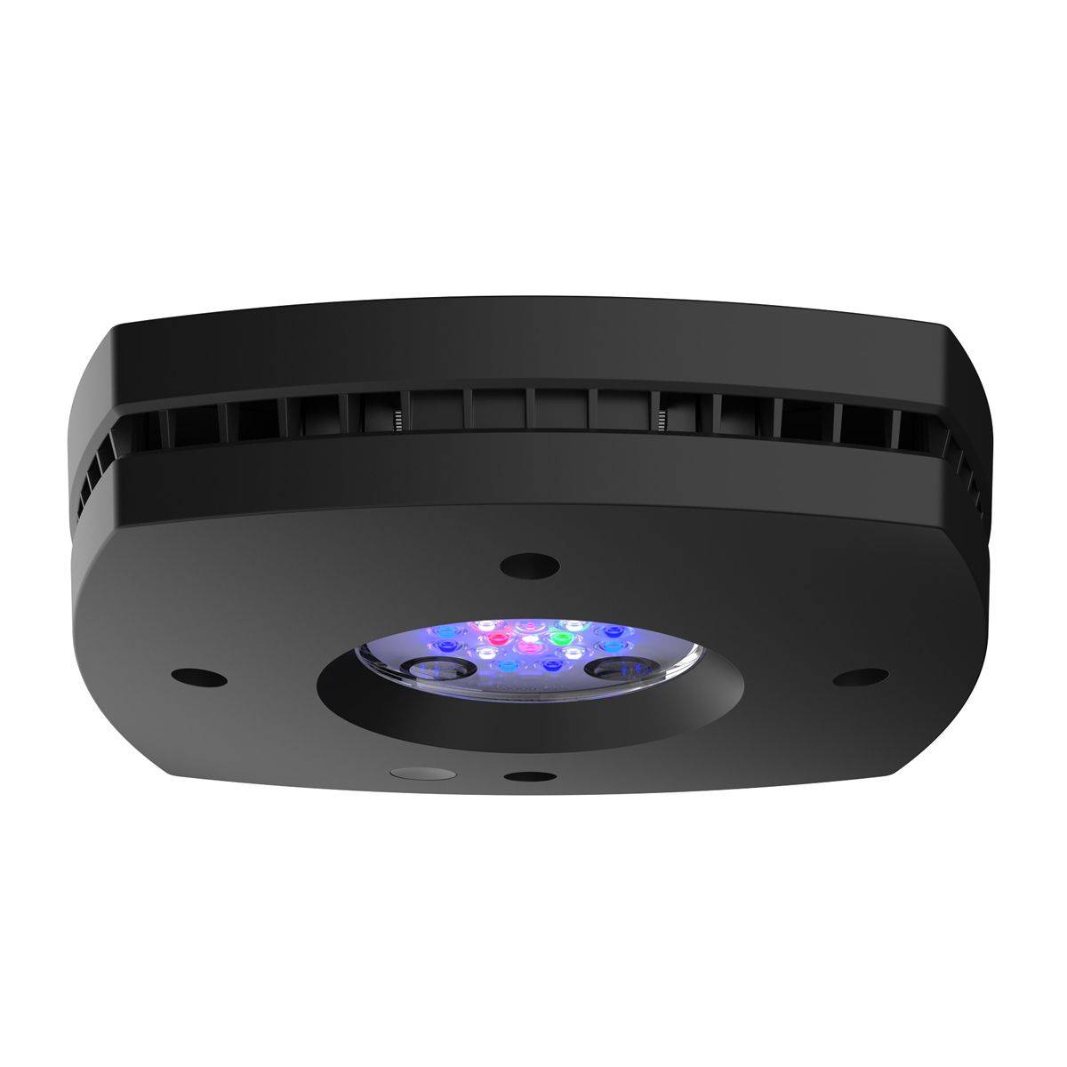 Prime 16 HD LED Reef Light - Black Body - AU Cable