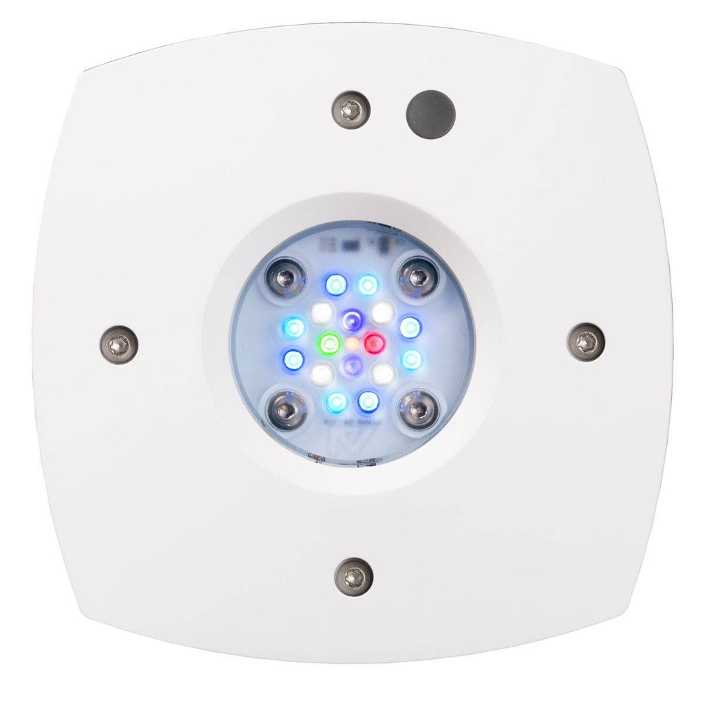 Prime 16 LED Freshwater Light - White Body - AU Cable